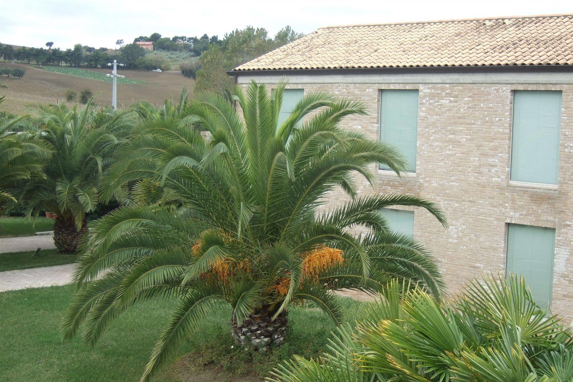 Finis Africae Hotel Senigallia Exterior photo